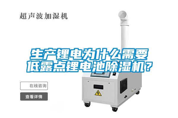 生產(chǎn)鋰電為什么需要低露點鋰電池除濕機？