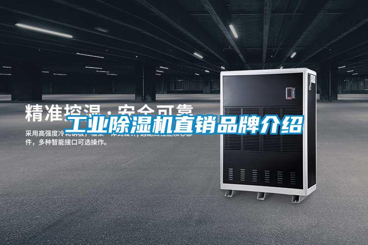 工業(yè)除濕機(jī)直銷(xiāo)品牌介紹