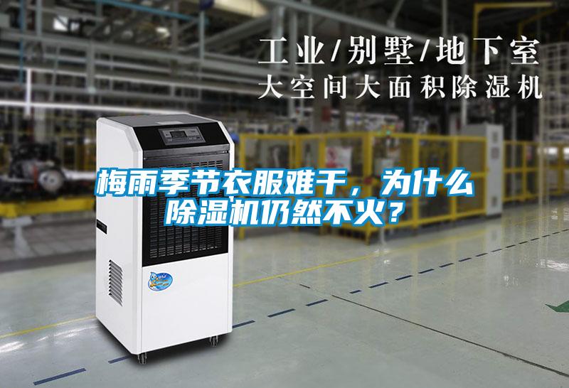 梅雨季節(jié)衣服難干，為什么除濕機仍然不火？
