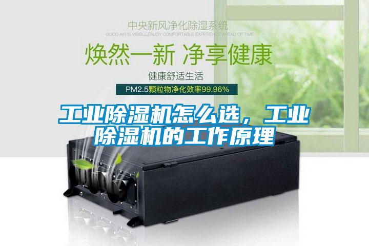 工業(yè)除濕機(jī)怎么選，工業(yè)除濕機(jī)的工作原理