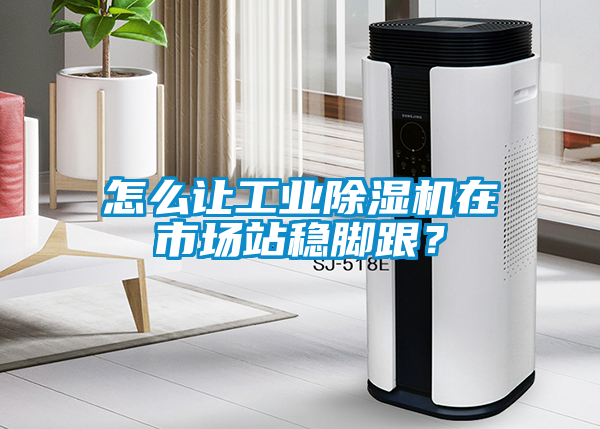 怎么讓工業(yè)除濕機(jī)在市場站穩(wěn)腳跟？