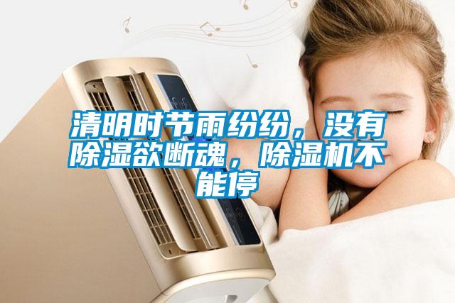 清明時節雨紛紛，沒有除濕欲斷魂，除濕機不能停