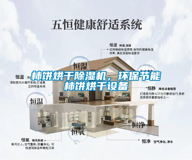 柿餅烘干除濕機，環保節能柿餅烘干設備