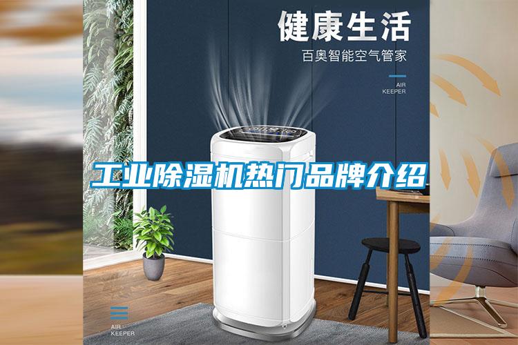 工業(yè)除濕機熱門品牌介紹