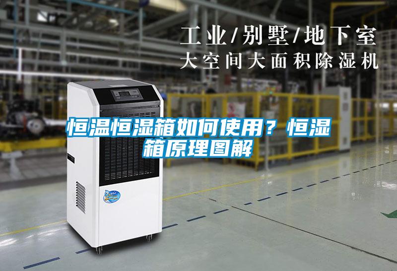 恒溫恒濕箱如何使用？恒濕箱原理圖解