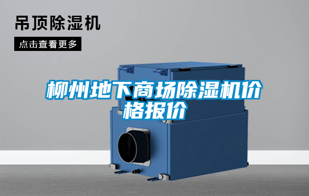 柳州地下商場除濕機(jī)價格報(bào)價