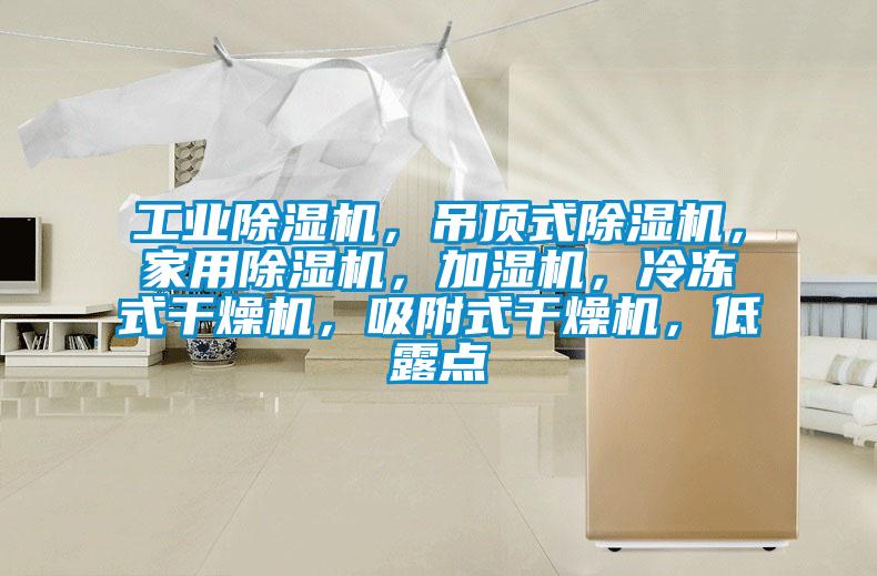工業除濕機，吊頂式除濕機，家用除濕機，加濕機，冷凍式干燥機，吸附式干燥機，低露點