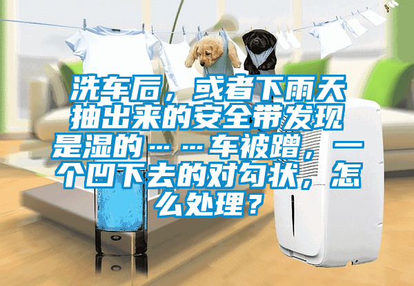 洗車后，或者下雨天抽出來的安全帶發現是濕的……車被蹭，一個凹下去的對勾狀，怎么處理？