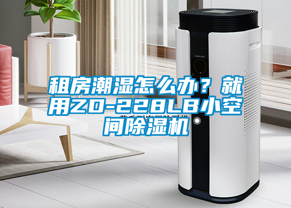 租房潮濕怎么辦？就用ZD-228LB小空間除濕機