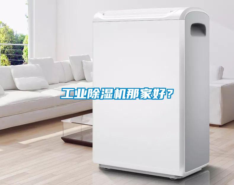 工業(yè)除濕機(jī)那家好？