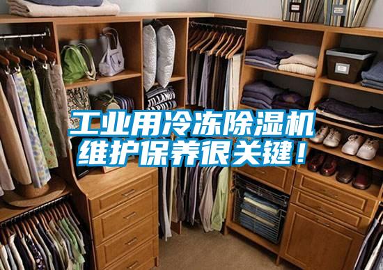 工業(yè)用冷凍除濕機(jī)維護(hù)保養(yǎng)很關(guān)鍵！