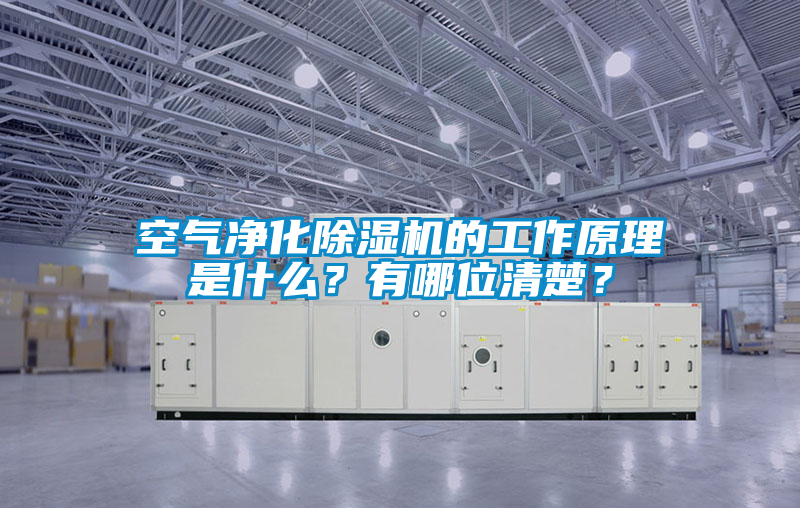 空氣凈化除濕機(jī)的工作原理是什么？有哪位清楚？