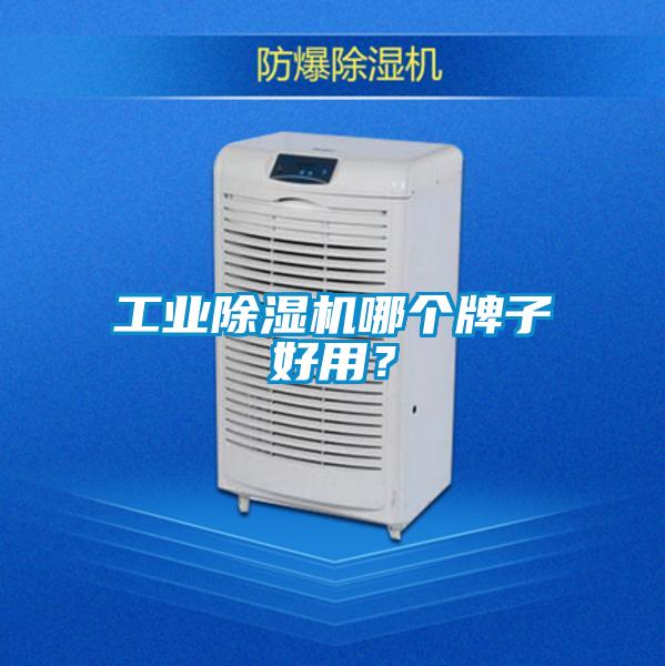 工業除濕機哪個牌子好用？