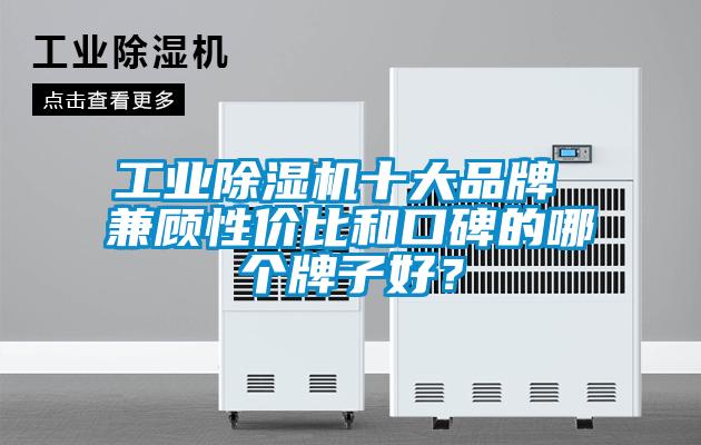 工業除濕機十大品牌 兼顧性價比和口碑的哪個牌子好？