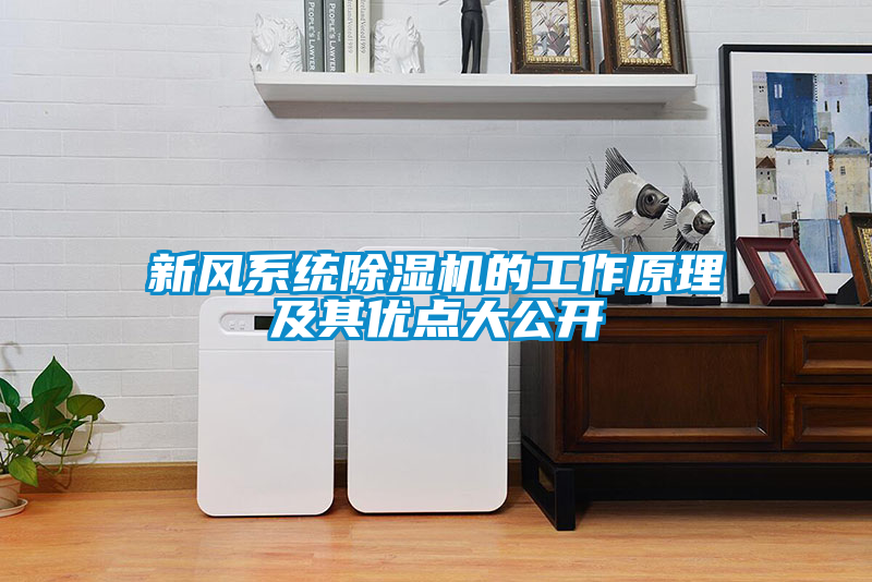 新風(fēng)系統(tǒng)除濕機(jī)的工作原理及其優(yōu)點(diǎn)大公開