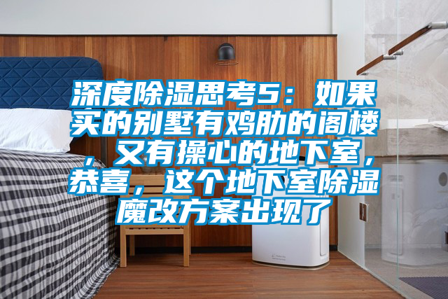 深度除濕思考5：如果買的別墅有雞肋的閣樓，又有操心的地下室，恭喜，這個(gè)地下室除濕魔改方案出現(xiàn)了