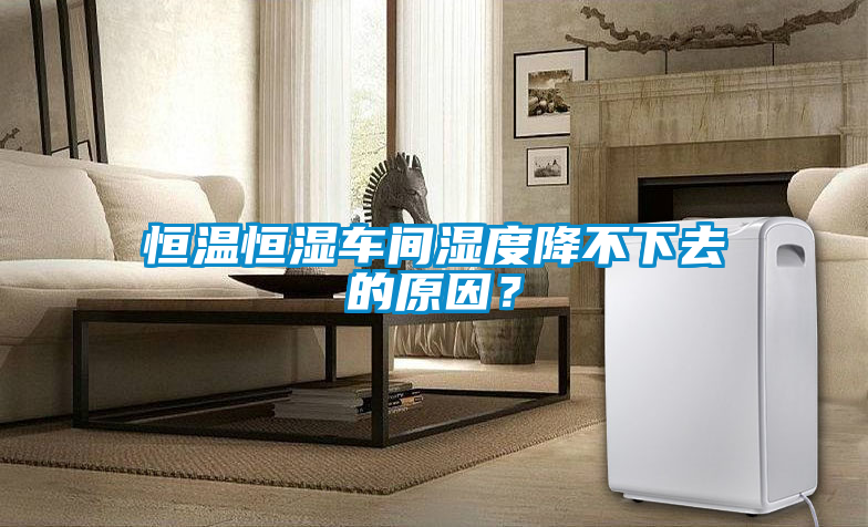 恒溫恒濕車間濕度降不下去的原因？