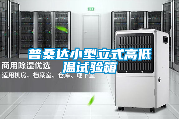 普桑達(dá)小型立式高低溫試驗箱