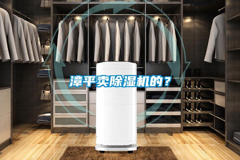 漳平賣除濕機的？