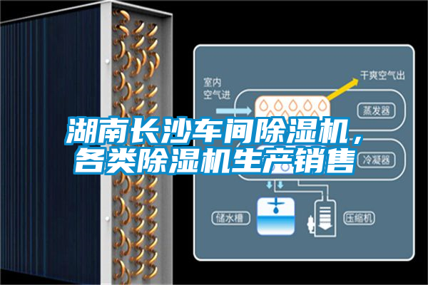 湖南長沙車間除濕機，各類除濕機生產銷售