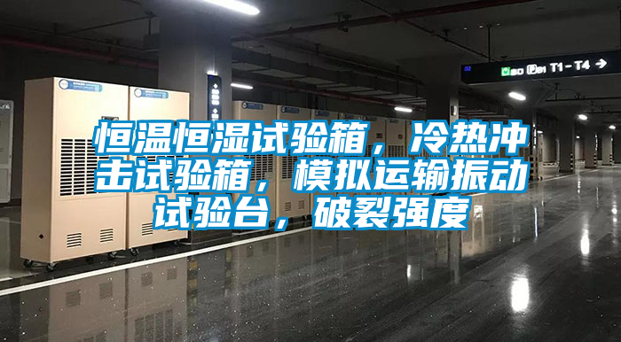 恒溫恒濕試驗箱，冷熱沖擊試驗箱，模擬運輸振動試驗臺，破裂強度