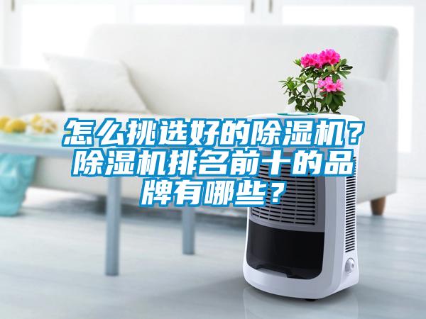 怎么挑選好的除濕機？除濕機排名前十的品牌有哪些？