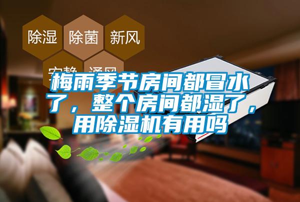 梅雨季節房間都冒水了，整個房間都濕了，用除濕機有用嗎
