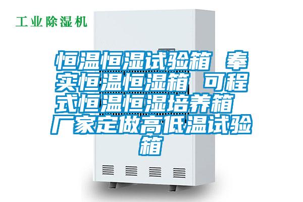 恒溫恒濕試驗(yàn)箱 奉實(shí)恒溫恒濕箱 可程式恒溫恒濕培養(yǎng)箱 廠(chǎng)家定做高低溫試驗(yàn)箱