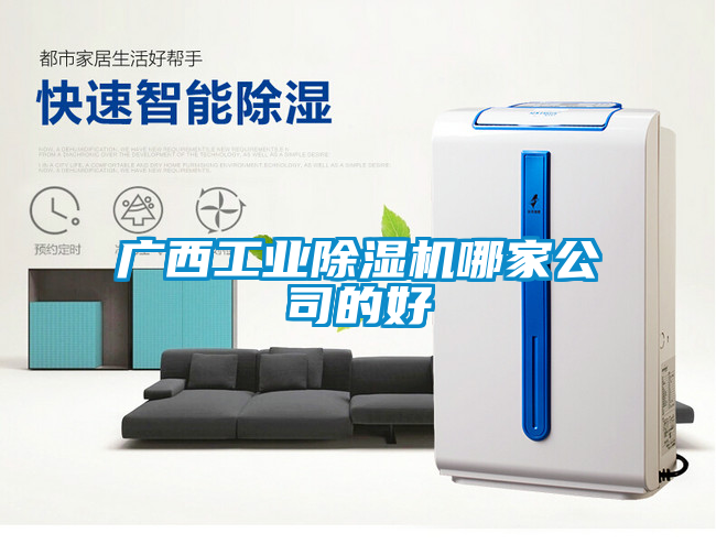 廣西工業除濕機哪家公司的好