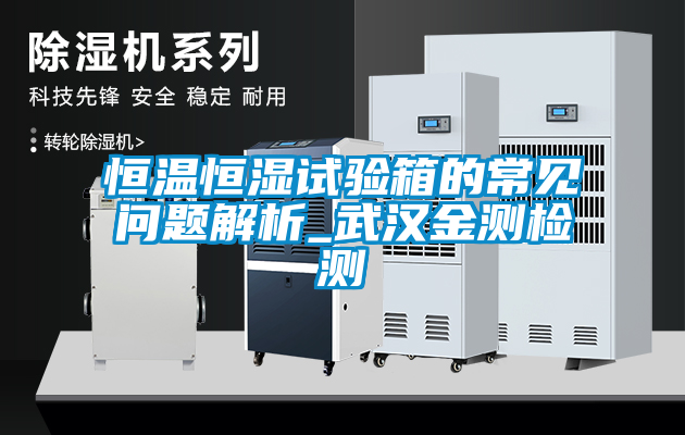 恒溫恒濕試驗(yàn)箱的常見問題解析_武漢金測(cè)檢測(cè)
