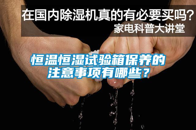 恒溫恒濕試驗(yàn)箱保養(yǎng)的注意事項(xiàng)有哪些？