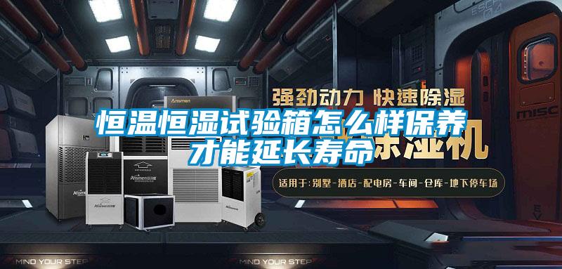 恒溫恒濕試驗(yàn)箱怎么樣保養(yǎng)才能延長壽命