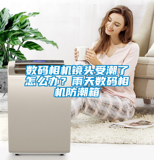 數(shù)碼相機鏡頭受潮了怎么辦？雨天數(shù)碼相機防潮箱