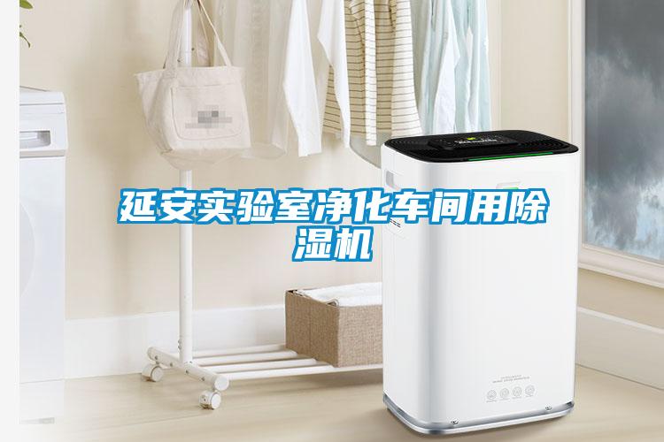 延安實驗室凈化車間用除濕機