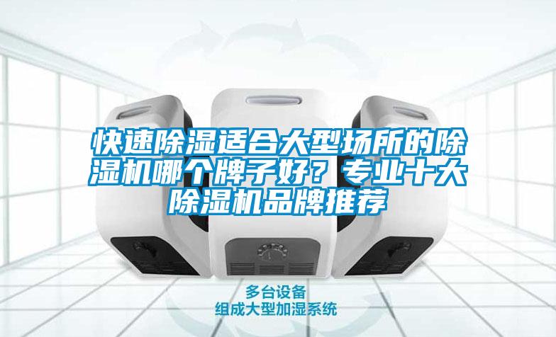 快速除濕適合大型場所的除濕機哪個牌子好？專業十大除濕機品牌推薦