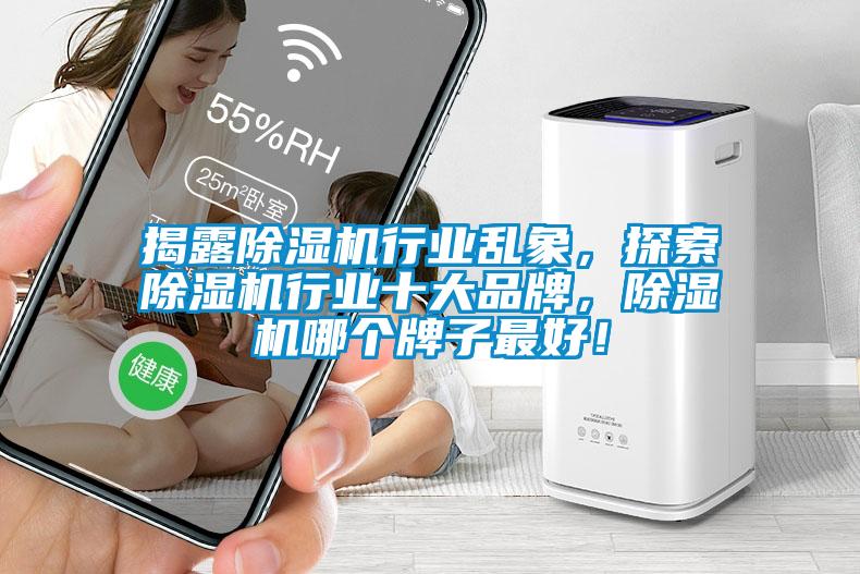揭露除濕機行業亂象，探索除濕機行業十大品牌，除濕機哪個牌子最好！