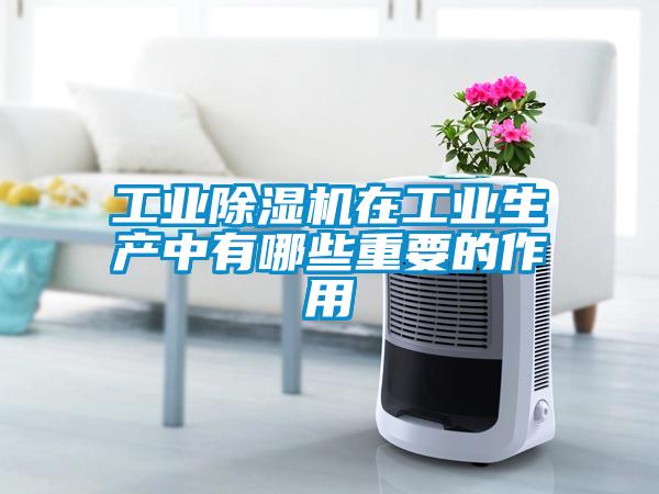工業(yè)除濕機在工業(yè)生產(chǎn)中有哪些重要的作用