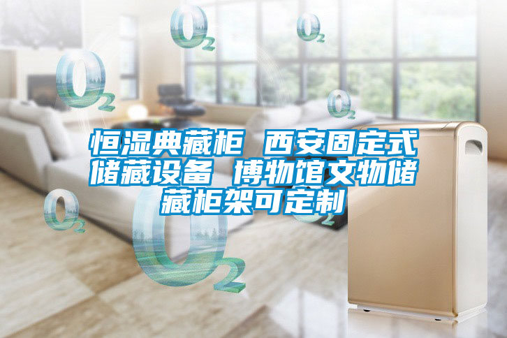 恒濕典藏柜 西安固定式儲藏設(shè)備 博物館文物儲藏柜架可定制