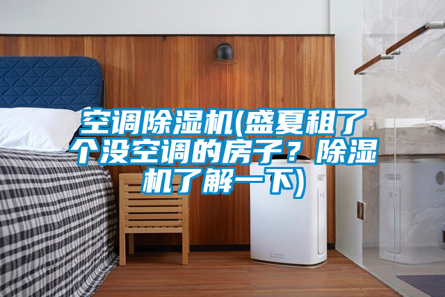空調(diào)除濕機(jī)(盛夏租了個(gè)沒(méi)空調(diào)的房子？除濕機(jī)了解一下)