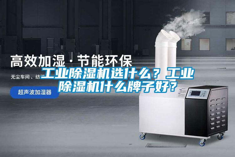 工業除濕機選什么？工業除濕機什么牌子好？
