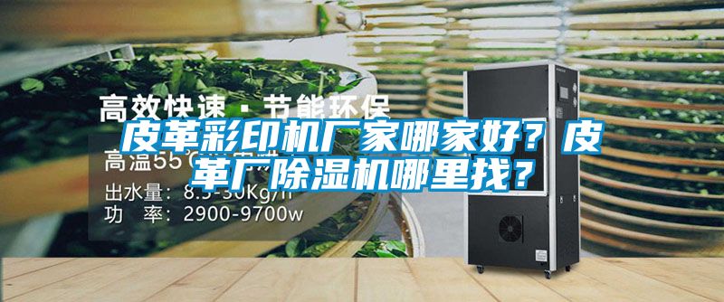 皮革彩印機廠家哪家好？皮革廠除濕機哪里找？
