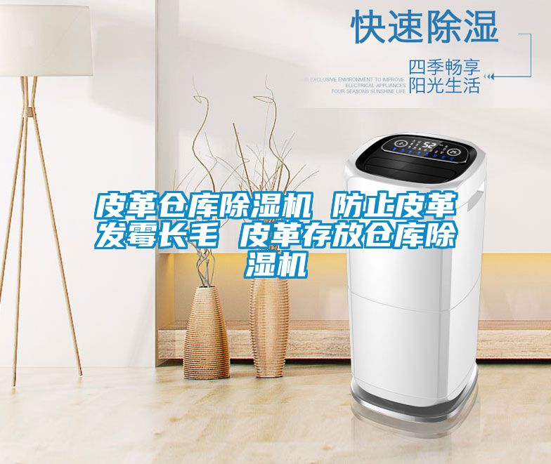 皮革倉庫除濕機 防止皮革發(fā)霉長毛 皮革存放倉庫除濕機