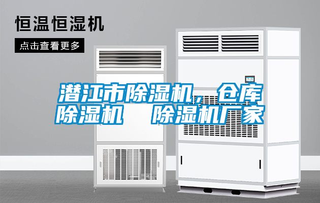 潛江市除濕機，倉庫除濕機  除濕機廠家
