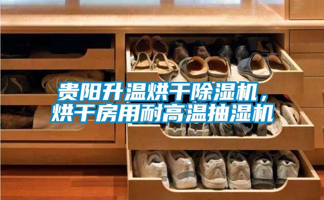貴陽升溫烘干除濕機，烘干房用耐高溫抽濕機