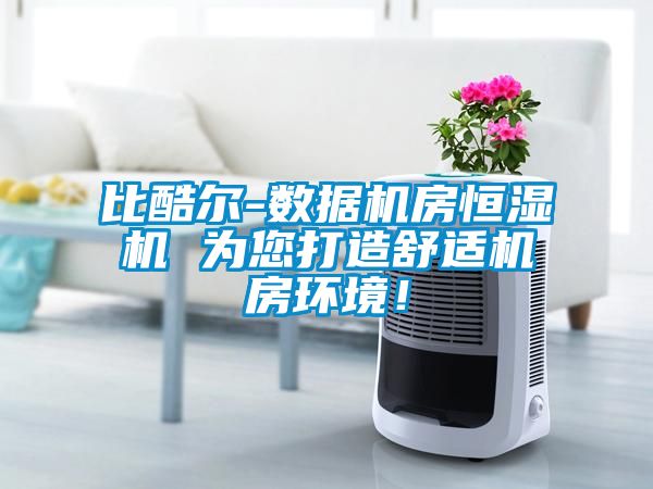 比酷爾-數(shù)據(jù)機(jī)房恒濕機(jī) 為您打造舒適機(jī)房環(huán)境！