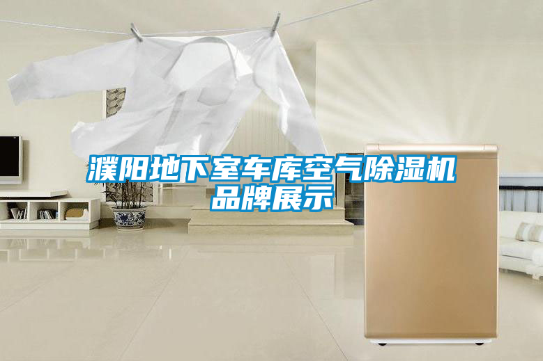 濮陽(yáng)地下室車庫(kù)空氣除濕機(jī)品牌展示