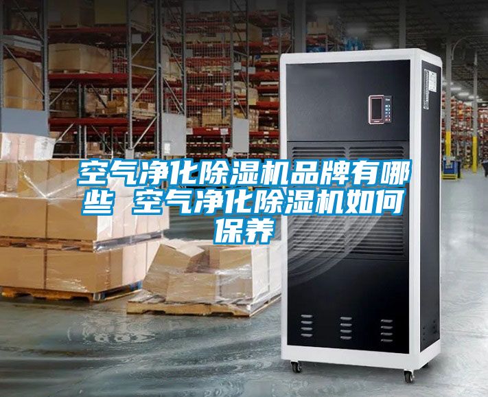 空氣凈化除濕機品牌有哪些 空氣凈化除濕機如何保養(yǎng)