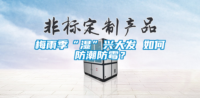 梅雨季“濕”興大發 如何防潮防霉？