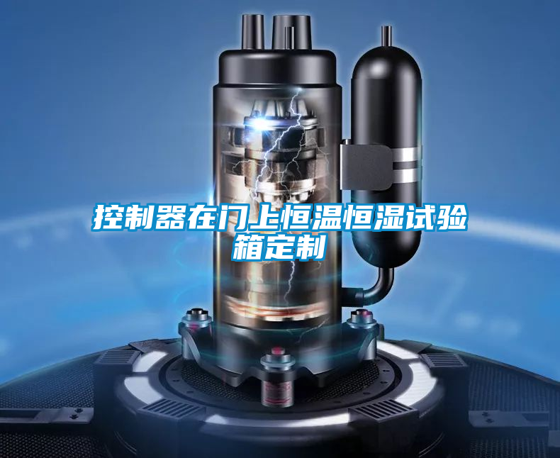控制器在門(mén)上恒溫恒濕試驗(yàn)箱定制