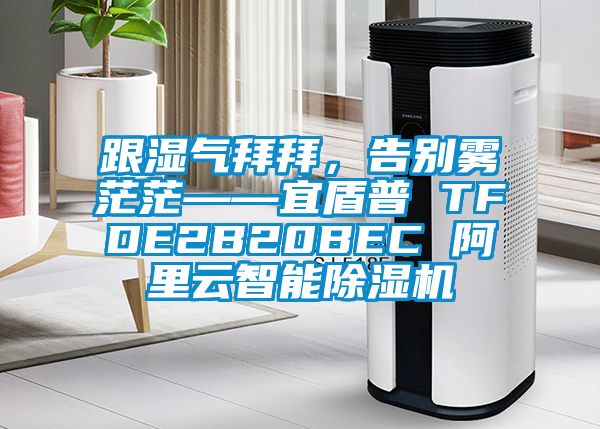 跟濕氣拜拜，告別霧茫茫——宜盾普 TFDE2B20BEC 阿里云智能除濕機